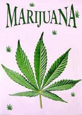 Marijuana's Avatar