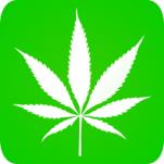 SmokedOut's Avatar