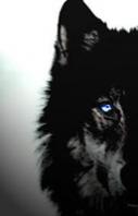 Hendy's Avatar