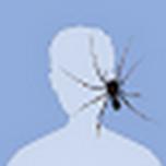 Kreams's Avatar