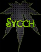 Sycch's Avatar