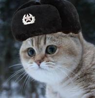Jav's Avatar