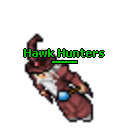 Hawk Hunters's Avatar