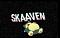 Skaaven's Avatar