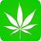 SmokedOut's Avatar