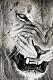 BnW's Avatar