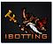 I<3BOTTING's Avatar