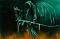 Evil reborn's Avatar