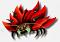 BUg's Avatar