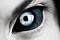 Bullock's Avatar