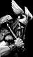 Thundorix's Avatar