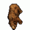 Petit Ours's Avatar